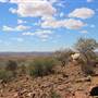 Broken Hill Sculptures Site and Living Desert