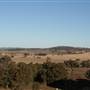 Gulgong