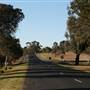 Gulgong