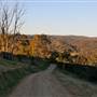 Hopeful Ranch Olive Farm File 1
