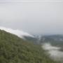 Bundjalung National Park