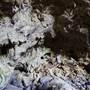 Jenolan Caves