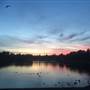 Centennial Park