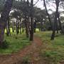 Centennial Park