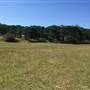 Centennial Park