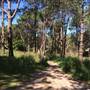 Centennial Park