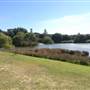 Centennial Park