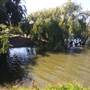 Centennial Park