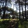 Centennial Park