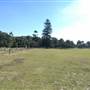 Centennial Park