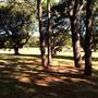 Centennial Park