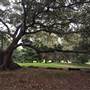 Centennial Park