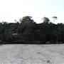 Collins Flat Beach