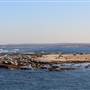 Boat Harbour