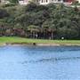 The Spit Bridge & Reserve