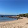 Little Bay