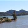 Peat Island
