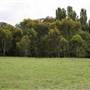 Carcoar Churches 2014