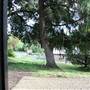 Carcoar Churches 2014