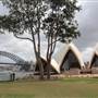 Bennelong Lawn - Royal Botanic Garden Sydney