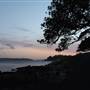 Mrs. Macquarie's Point - Royal Botanic Garden Sydney
