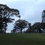 Mrs. Macquarie's Point - Royal Botanic Garden Sydney