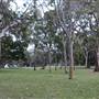 Mrs. Macquarie's Point - Royal Botanic Garden Sydney