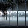 Mrs. Macquarie's Point - Royal Botanic Garden Sydney