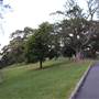 Mrs. Macquarie's Point - Royal Botanic Garden Sydney