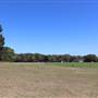 Centennial Park - Brazilian Fields