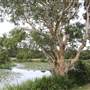 Centennial Park - Church Grounds