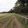 Centennial Park - Equestrian Grounds