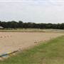 Centennial Park - Equestrian Grounds