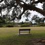 Centennial Park - Lachlan Swamp