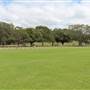 Centennial Park - McKay Sports Ground