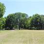 Centennial Park - Musgrave Pond