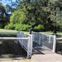 Centennial Park - Musgrave Pond