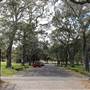 Centennial Park - Paperbark Grove
