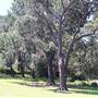 Centennial Park - Parade Grounds