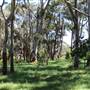 Centennial Park - Sandstone Ridge