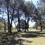 Centennial Park - Sandstone Ridge