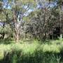 Centennial Park - Sandstone Ridge