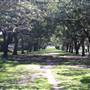 Centennial Park - Federation Way