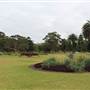 Centennial Park - Frog Hollow