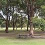 Learners Cycleway Playground - Centennial Park