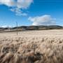 Goulburn Area