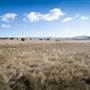 Monaro Plains