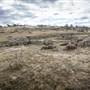 Monaro Plains