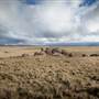 Monaro Plains