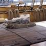 James Craig - Tall ship